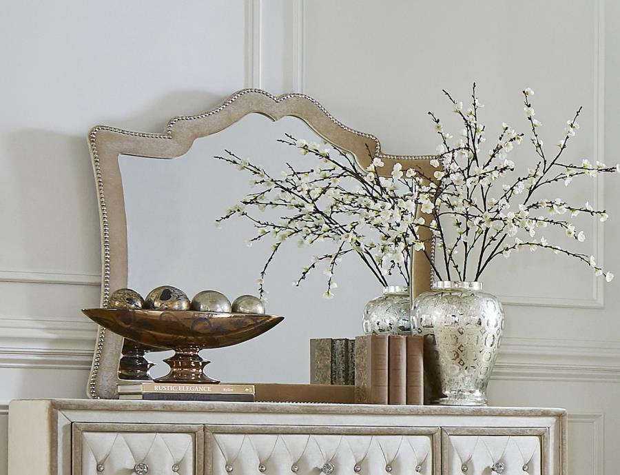 Antonella - Upholstered Dresser Mirror CoasterElevations