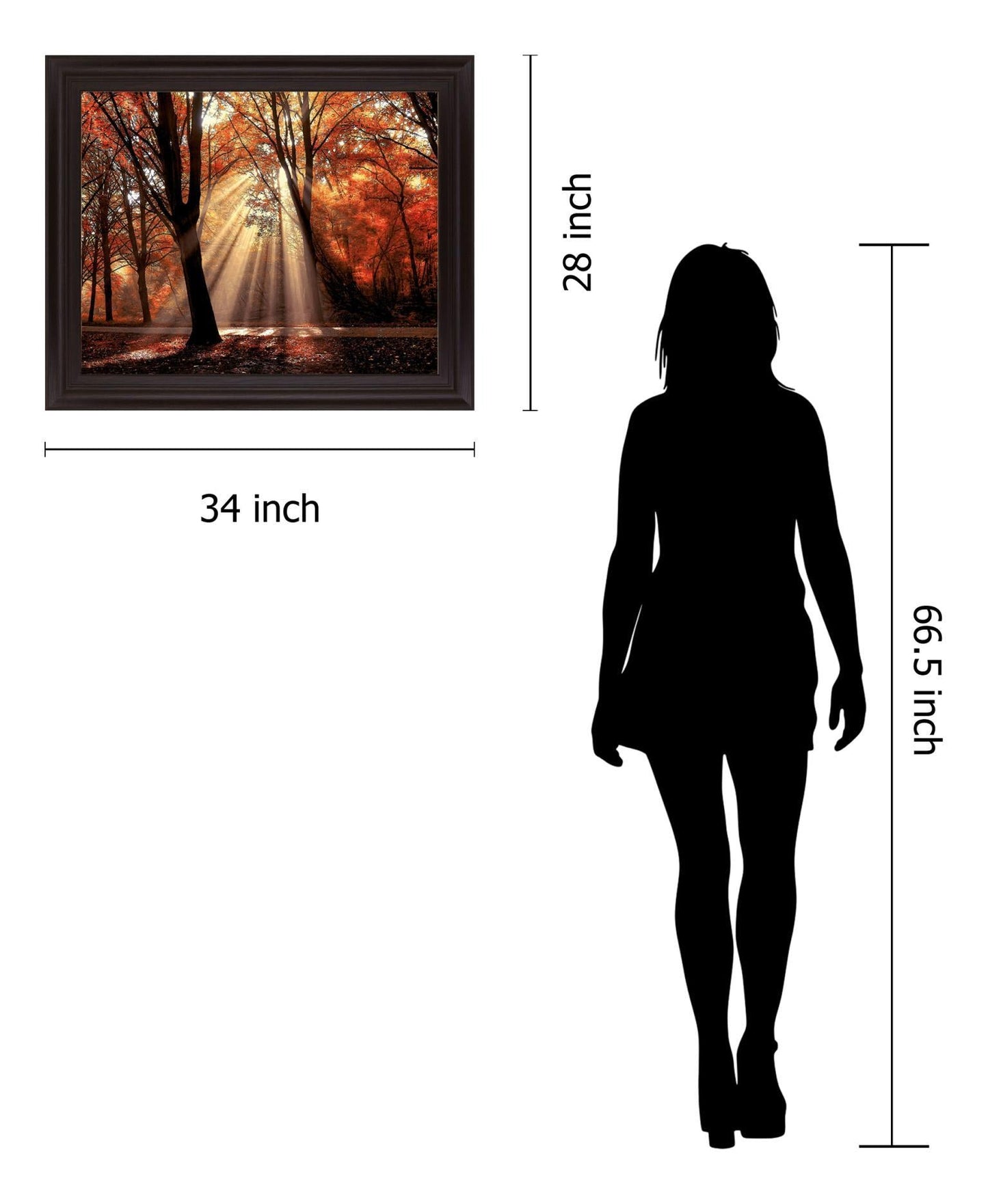 Radiant Maple Glow - 28" x 34" Framed Wall Art Classy Art