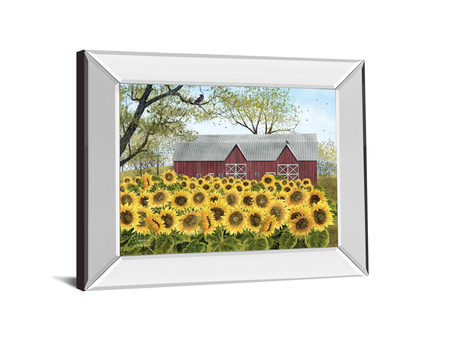 Sunshine By Billy Jacobs - Mirror Framed Print Wall Art - Yellow Classy Art