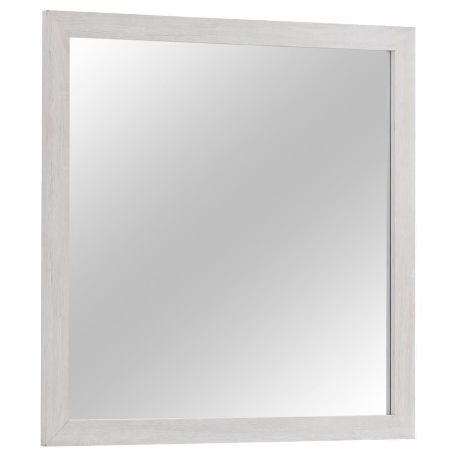 Brantford - Dresser Mirror CoasterEveryday