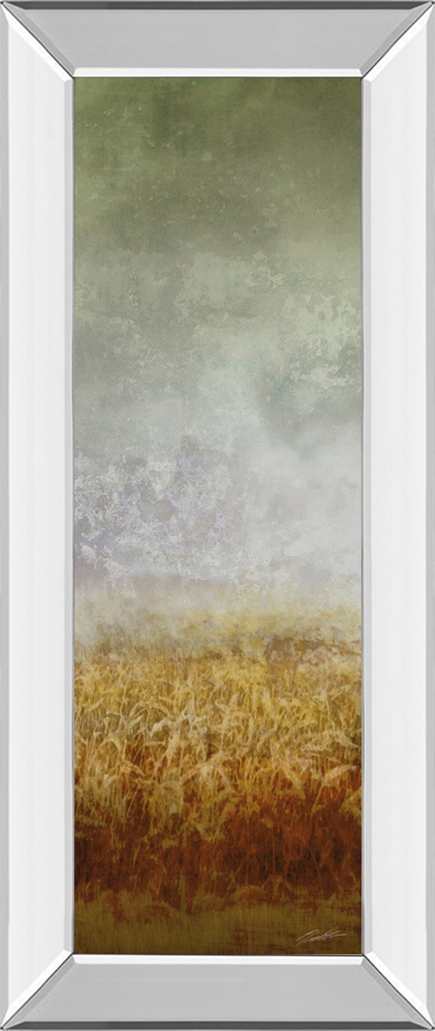 Lush Field I By John Butler - Mirror Framed Print Wall Art - Dark Gray Classy Art