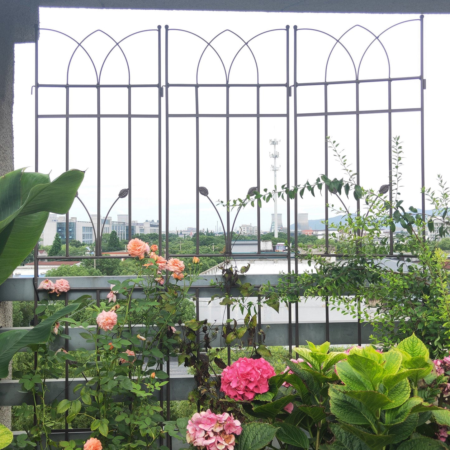 Metal Garden Trellis Rustproof For Climbing Plants Outdoor Flower Support Daily Nest