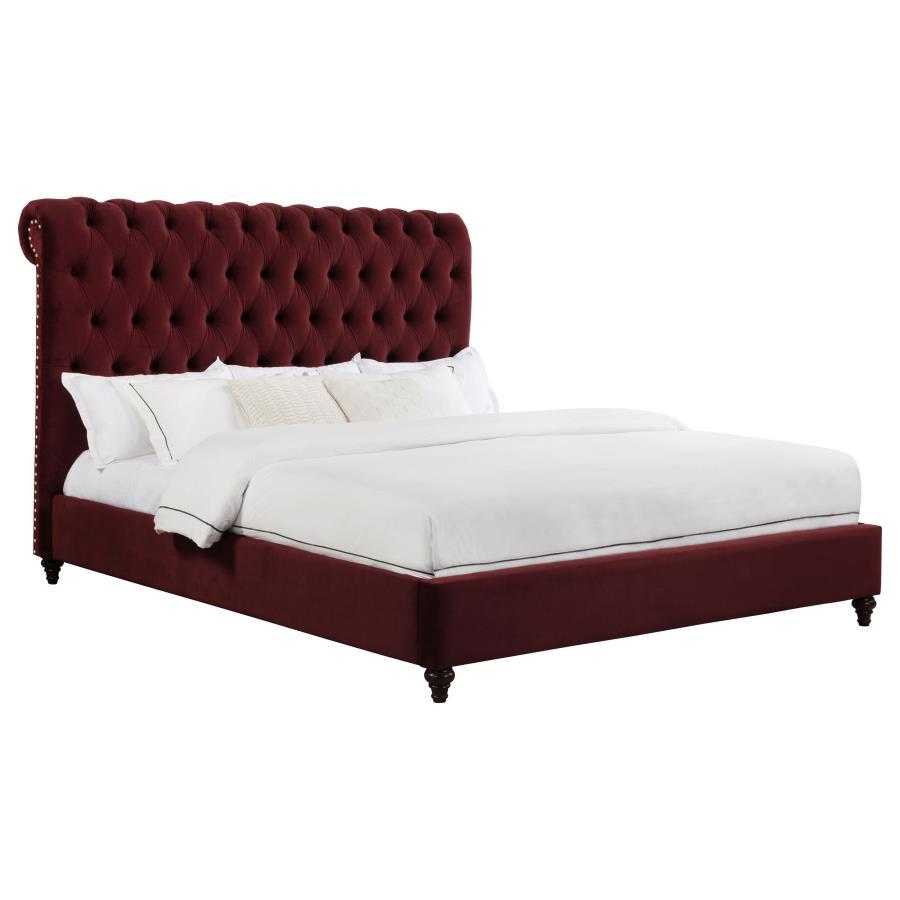 Devon - Upholstered Panel Bed CoasterEssence