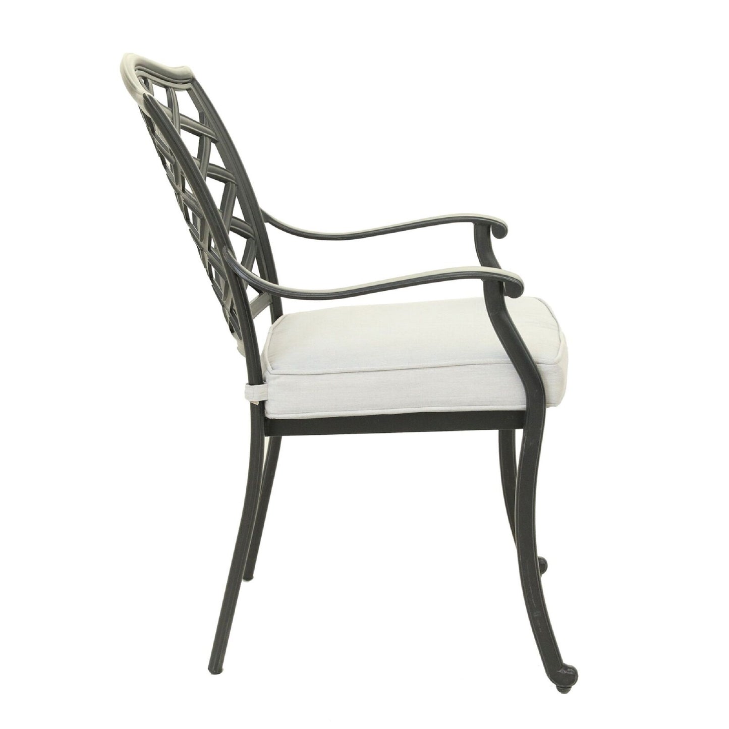 Dining Arm Chair (Set of 2) Home Essentials
