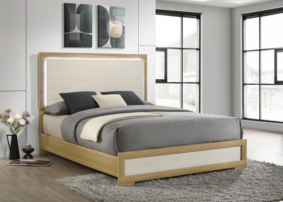 Hyland - Panel Bed LED Headboard Coaster Fine Furniture