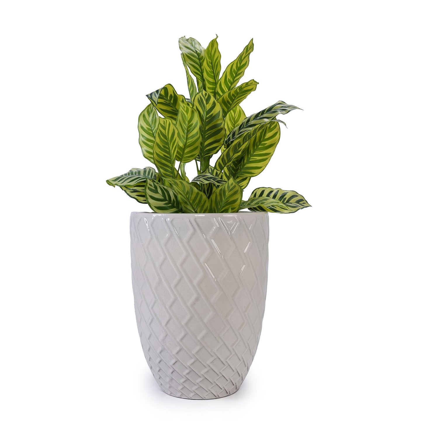 Ceramic Flowerpot, Planter For Patio, Garden, Windowsill Daily Nest