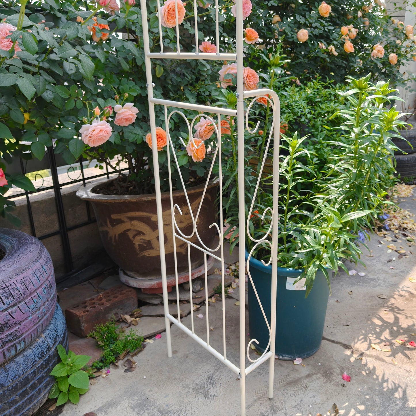 Metal Garden Arch Garden Arbor Trellis Climbing Plants Support Rose Arch Outdoor Arch Daily Nest