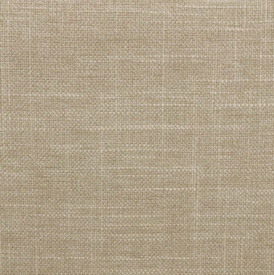 Chloe - Upholstered Panel Bed CoasterEssence