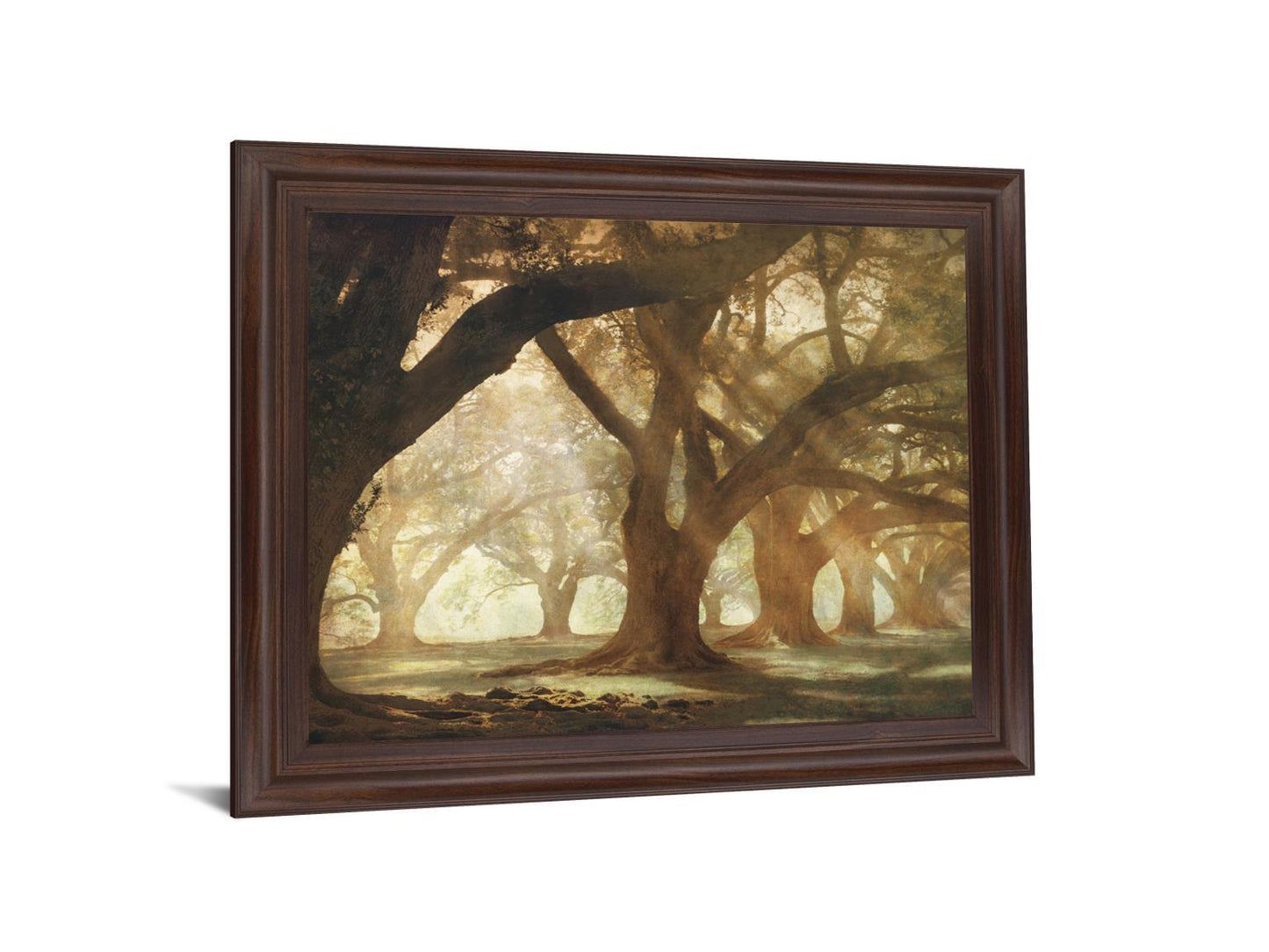 Sunlit Grove Serenity - 28" x 34" Framed Wall Art Classy Art