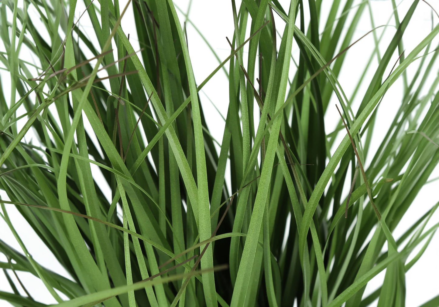 23" Tall, Artificial Plant, Grass, Indoor, Faux, Fake, Table, Greenery, Potted, Real Touch, Decorative - Green / Black 8th Street