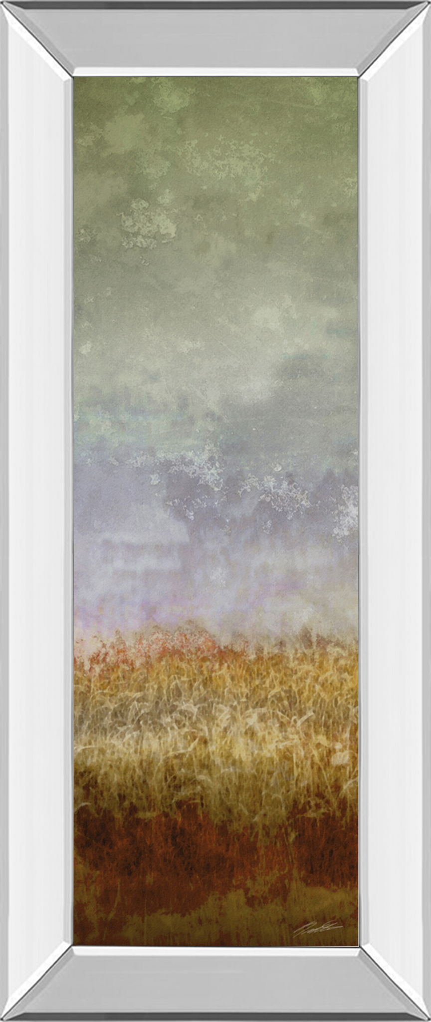 Lush Field Il By John Butler - Mirror Framed Print Wall Art - Dark Gray Classy Art
