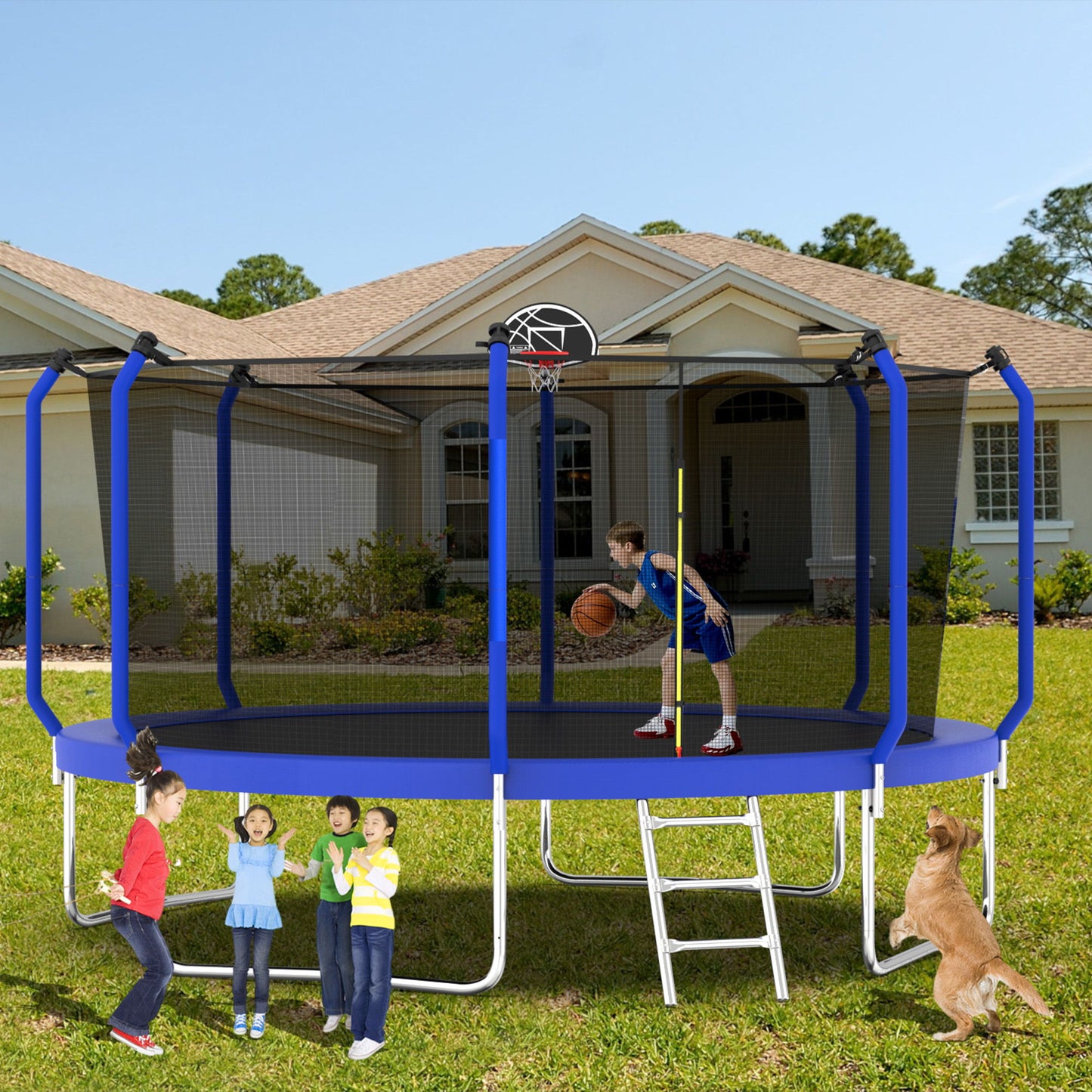 Trampoline With Basketball Hoop, Astm Approved Reinforced Type Outdoor Trampoline With Enclosure Net Daily Nest