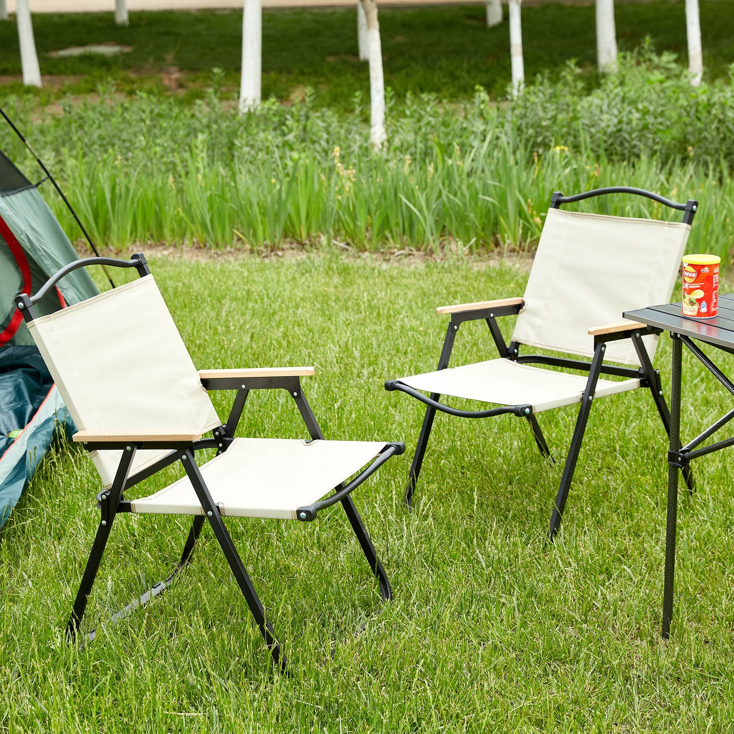 Folding Outdoor Chair For Indoor, Outdoor Camping, Picnics, Beach, Backyard, Bbq, Party, Patio Home Essentials