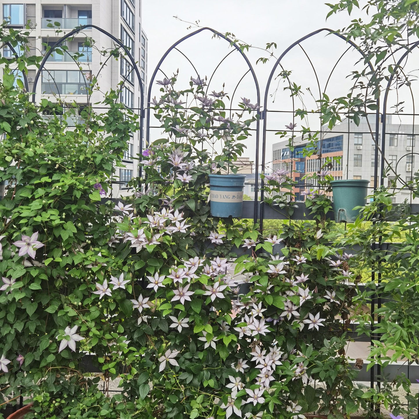 Metal Garden Trellis Rustproof Trellis For Climbing Plant, Outdoor Flower Support Daily Nest