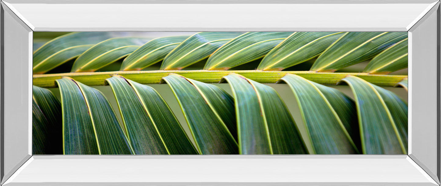 Palma I By Susan Bryant - Mirror Framed Print Wall Art - Green - Snoozhouse
