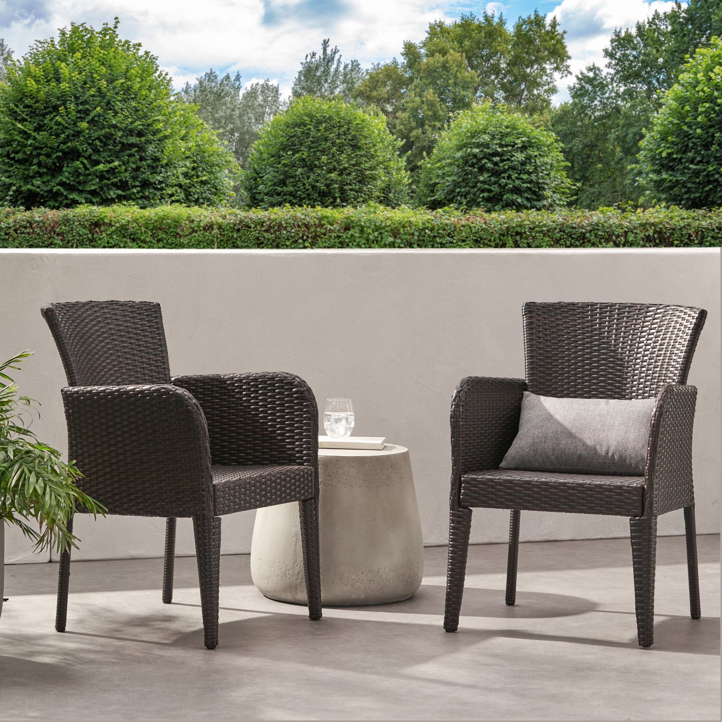 Anaya - Outdoor Wicker Dining Armchair (Set of 2) Noble House