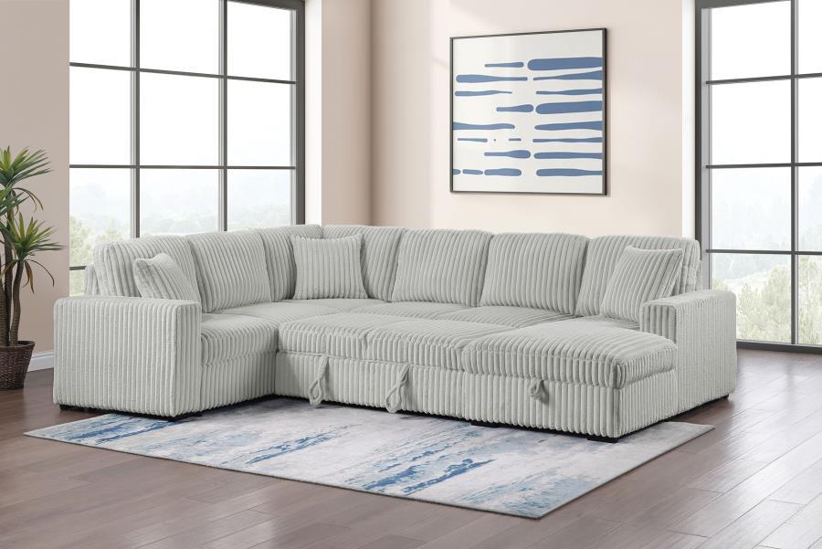 Devonshire - Sleeper Sectional Sofa Storage Chaise Coaster Fine Furniture