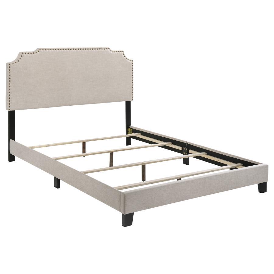Tamarac - Upholstered Panel Bed CoasterEveryday