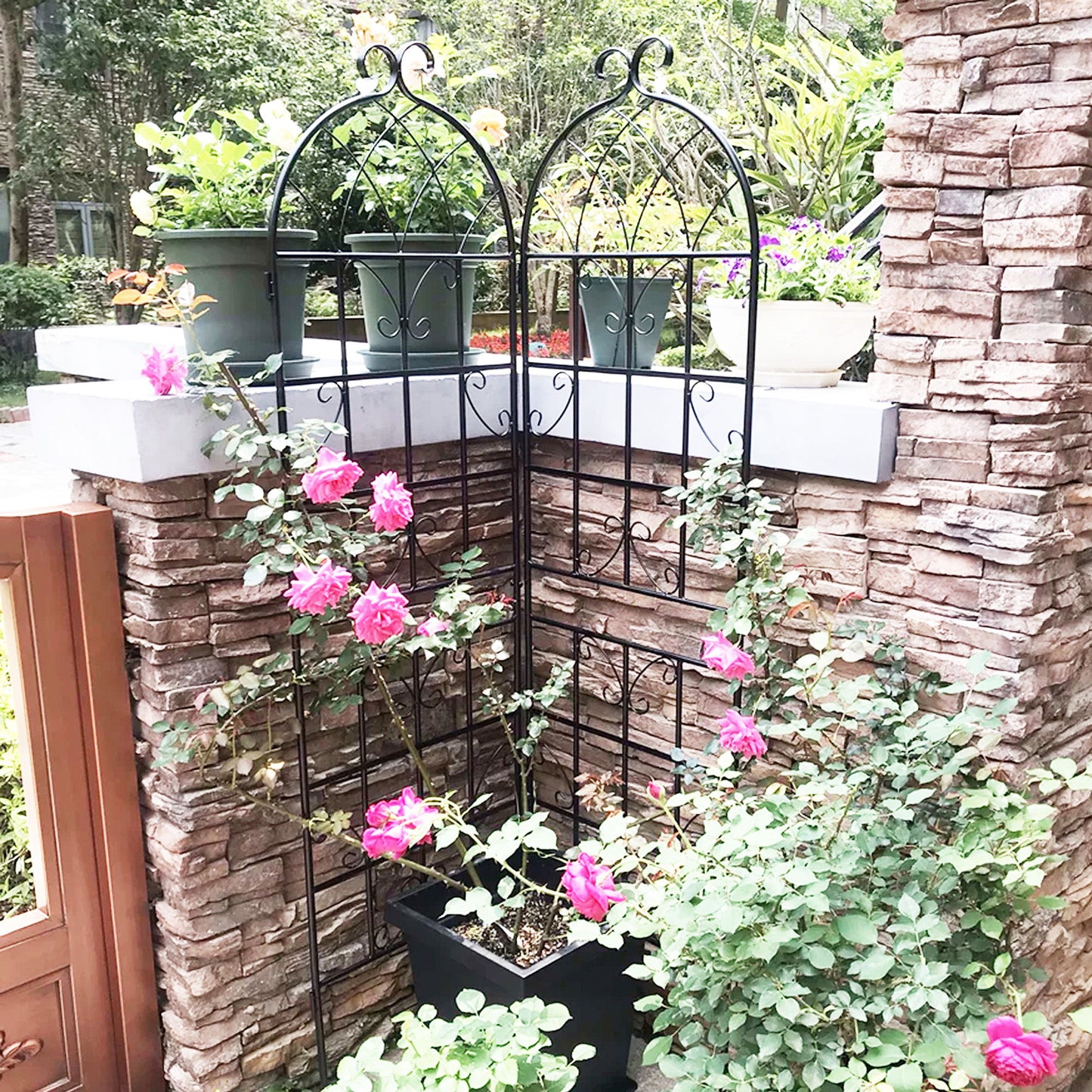 Metal Garden Rustproof Trellis For Climbing Plants Outdoor Flower Support Daily Nest