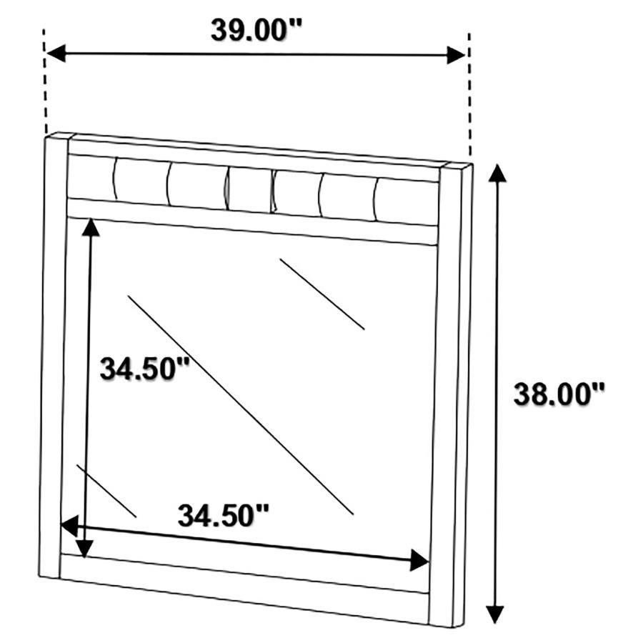 Carlton - Upholstered Rectangular Mirror CoasterEveryday