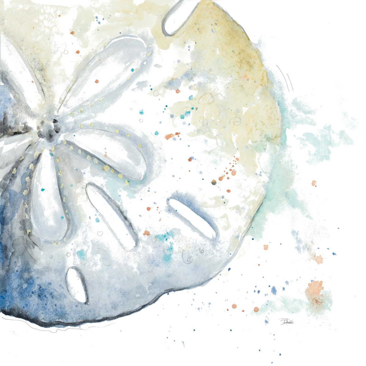 Water Sand Dollarpatriciapinto - Light Blue Classy Living