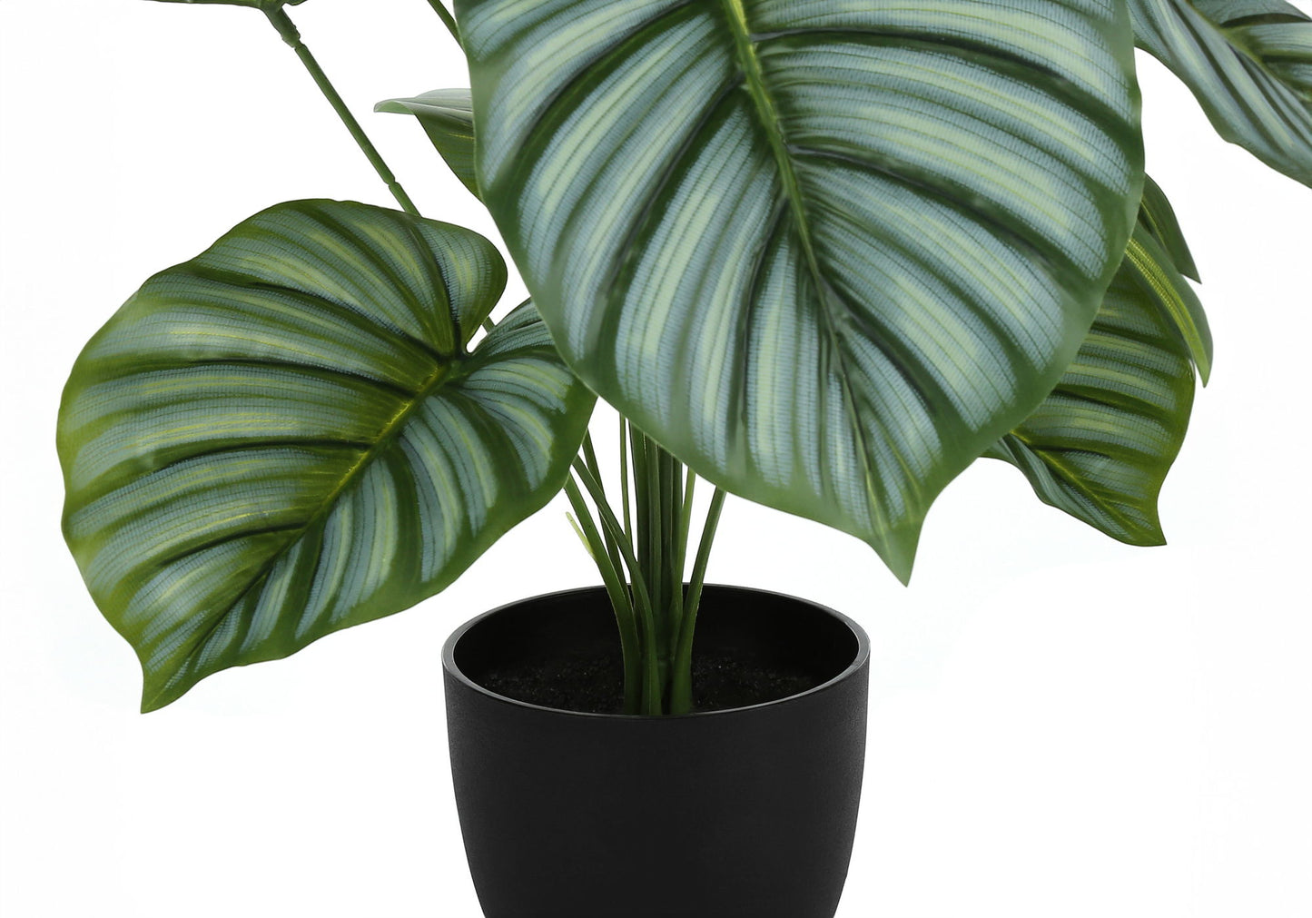 24" Tall, Artificial Plant, Calathea, Indoor, Faux, Fake, Table, Greenery, Potted, Real Touch, Decorative - Green / Black 8th Street