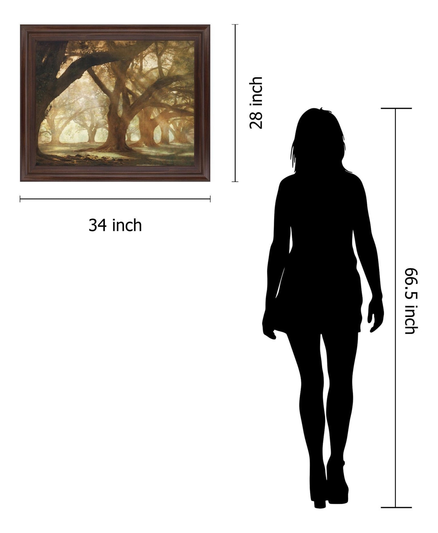 Sunlit Grove Serenity - 28" x 34" Framed Wall Art Classy Art