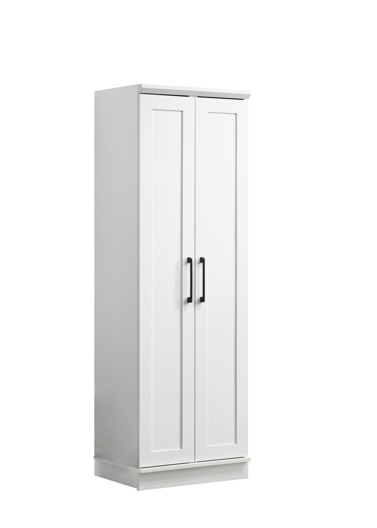 Evelyn - Sleek Storage Cabinet With Framed Panel Design - White Lilola Home