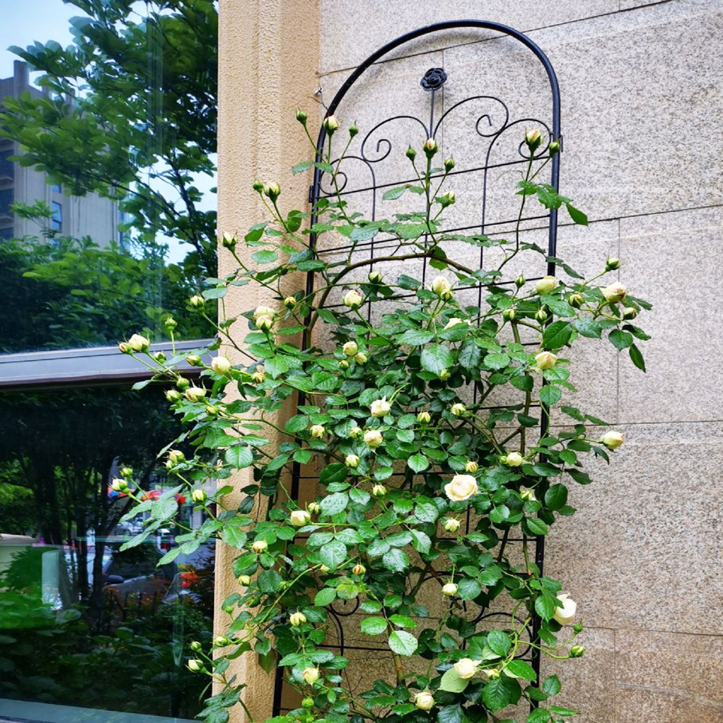 Metal Garden Trellis For Climbing Plants Outdoor Rustproof Plant Support Rose Trellis Netting Trellis Daily Nest