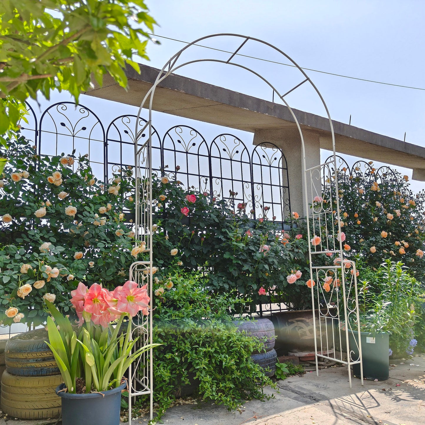 Metal Garden Arch Garden Arbor Trellis Climbing Plants Support Rose Arch Outdoor Arch Daily Nest