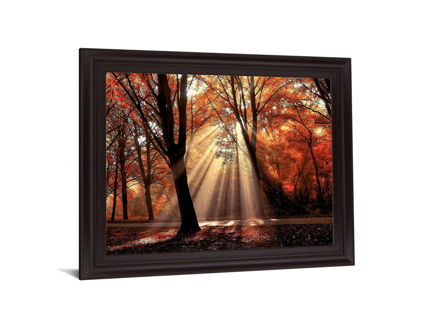 Radiant Maple Glow - 28" x 34" Framed Wall Art Classy Art