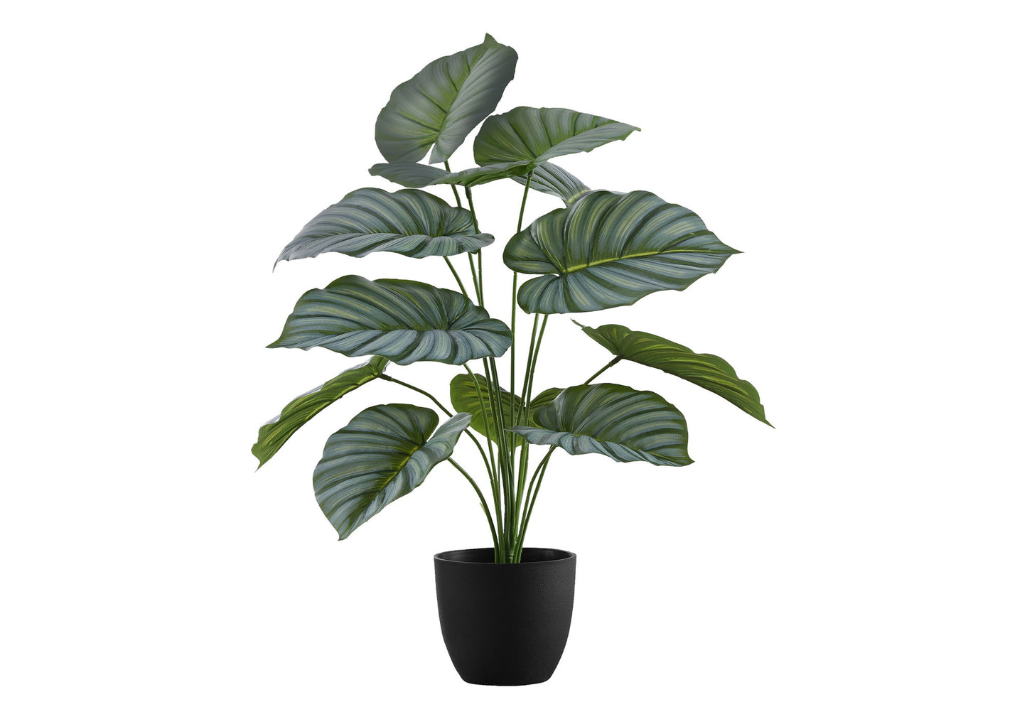 24" Tall, Artificial Plant, Calathea, Indoor, Faux, Fake, Table, Greenery, Potted, Real Touch, Decorative - Green / Black 8th Street
