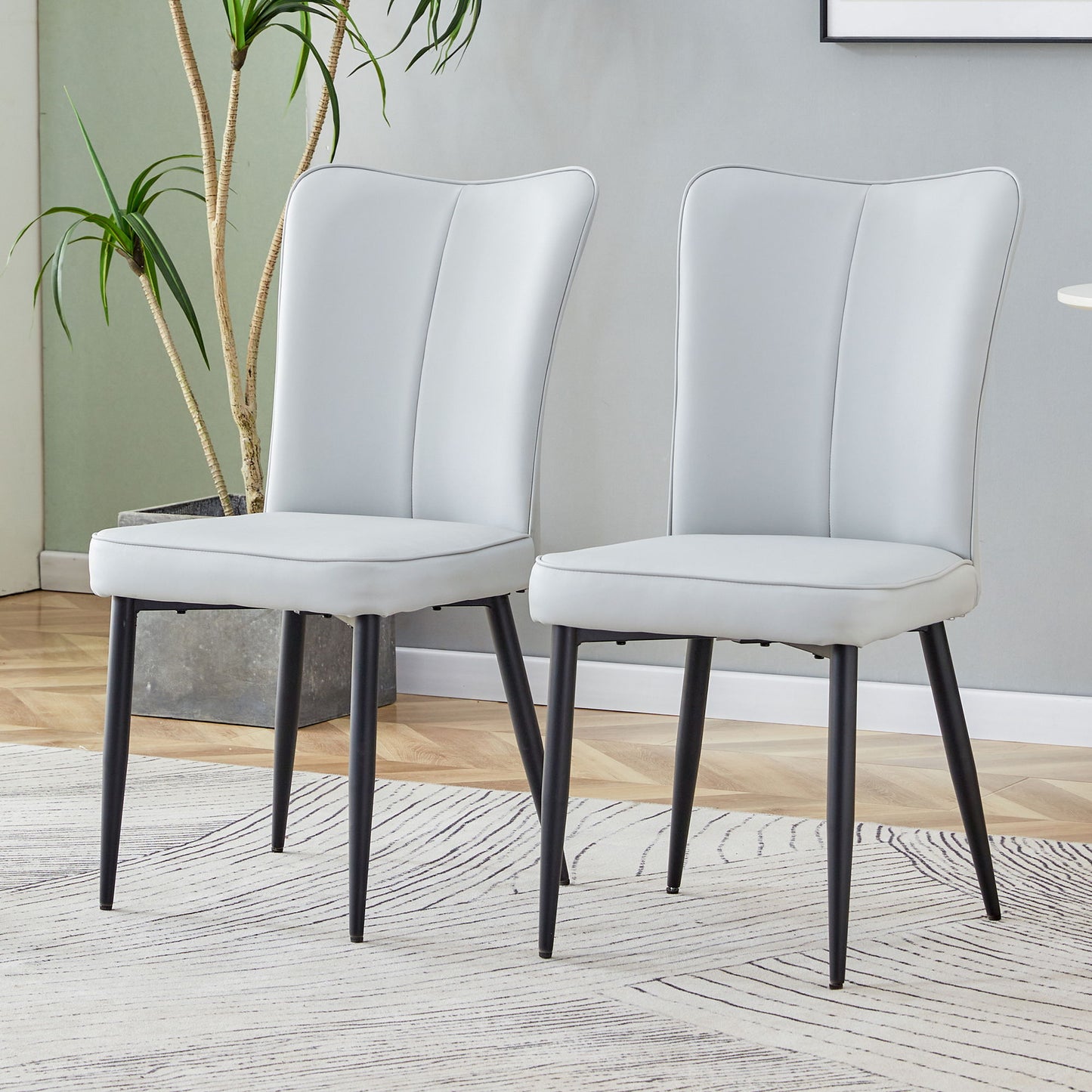 Modern Minimalist Dining Chairs (Set of 2) Home Essentials