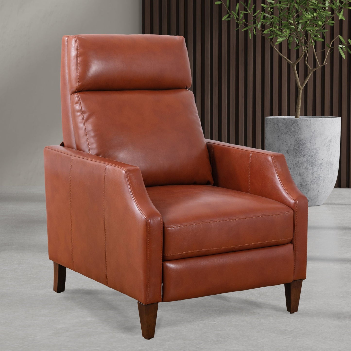 Biscoe - Push Back Recliner Home Essentials