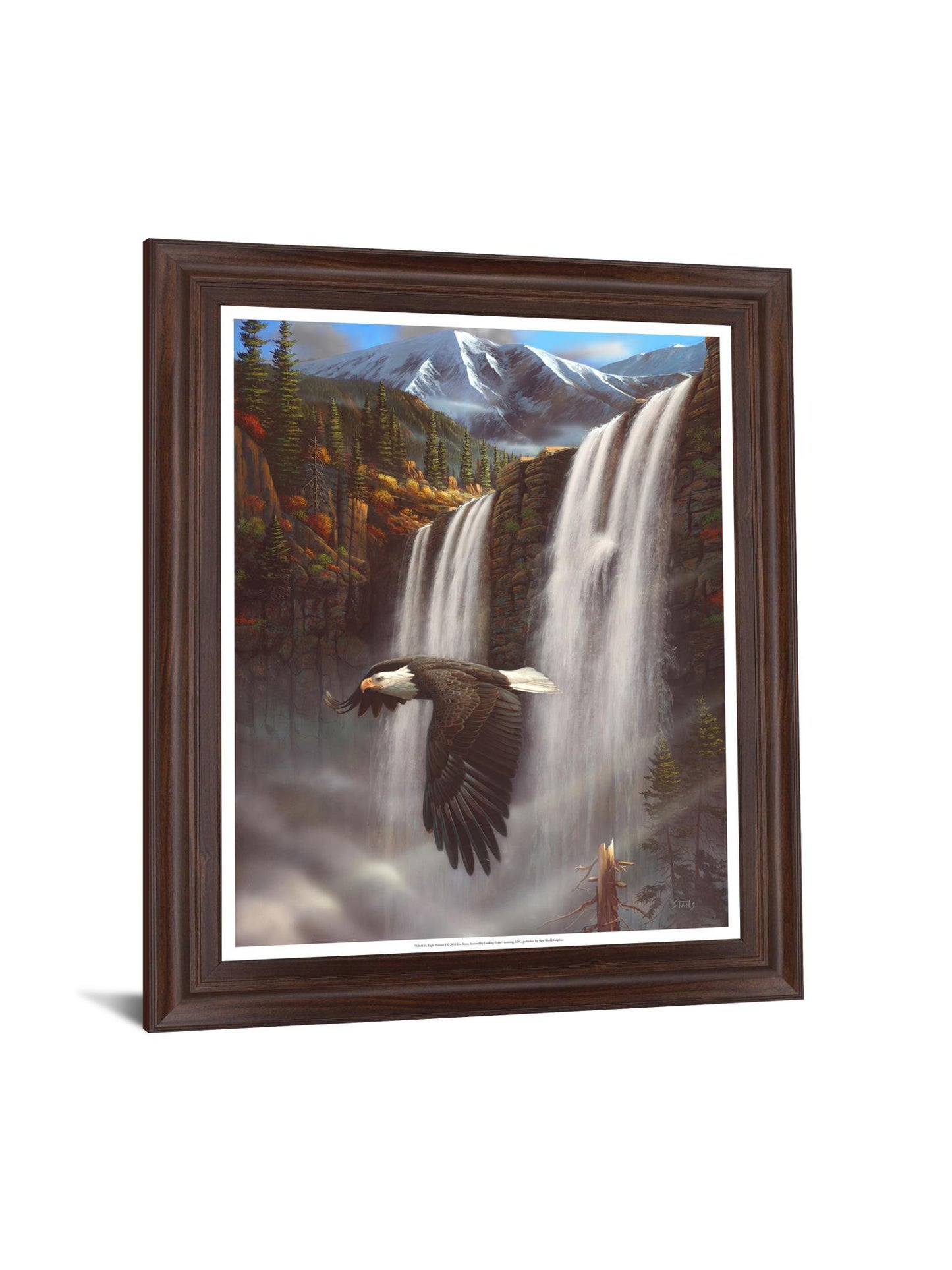 Soaring Above Falls - 28" x 34" Framed Wall Art Classy Art