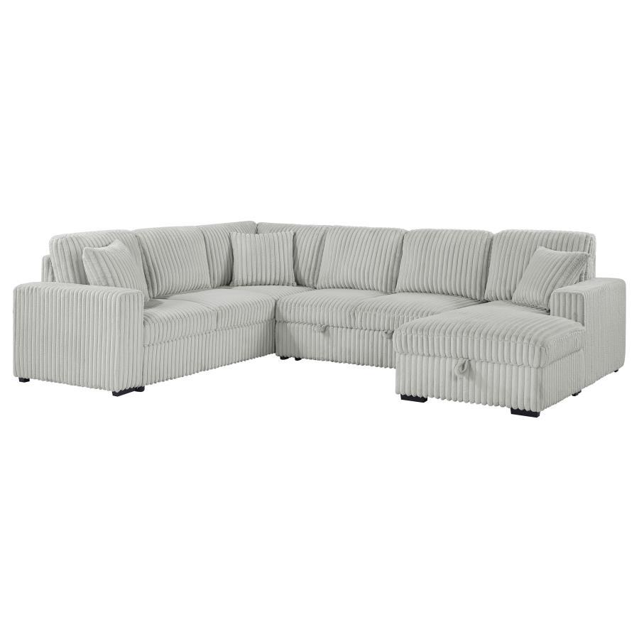 Devonshire - Sleeper Sectional Sofa Storage Chaise Coaster Fine Furniture