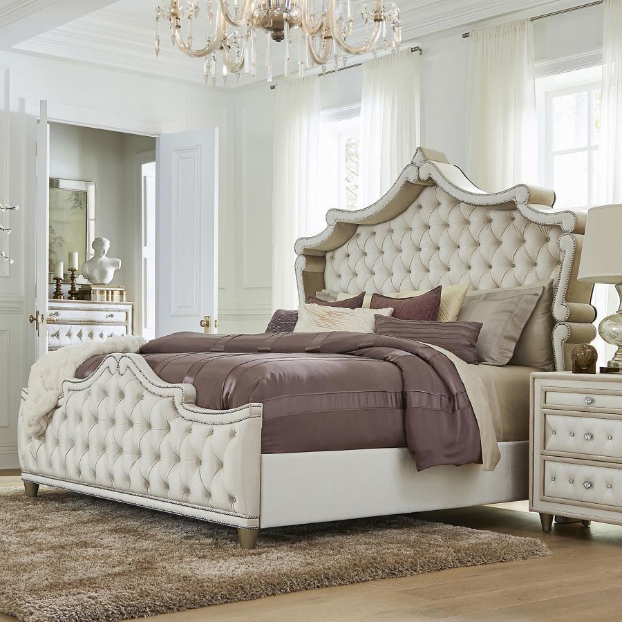 Antonella - Upholstered Panel Bed CoasterElevations