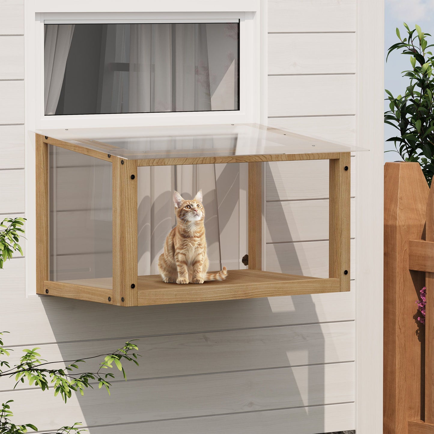 Transparent Acrylic Window Cat Perch Catio Cat Window Box - Natural Wood / Transparent Daily Nest