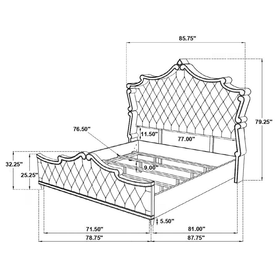 Antonella - Upholstered Panel Bed CoasterElevations