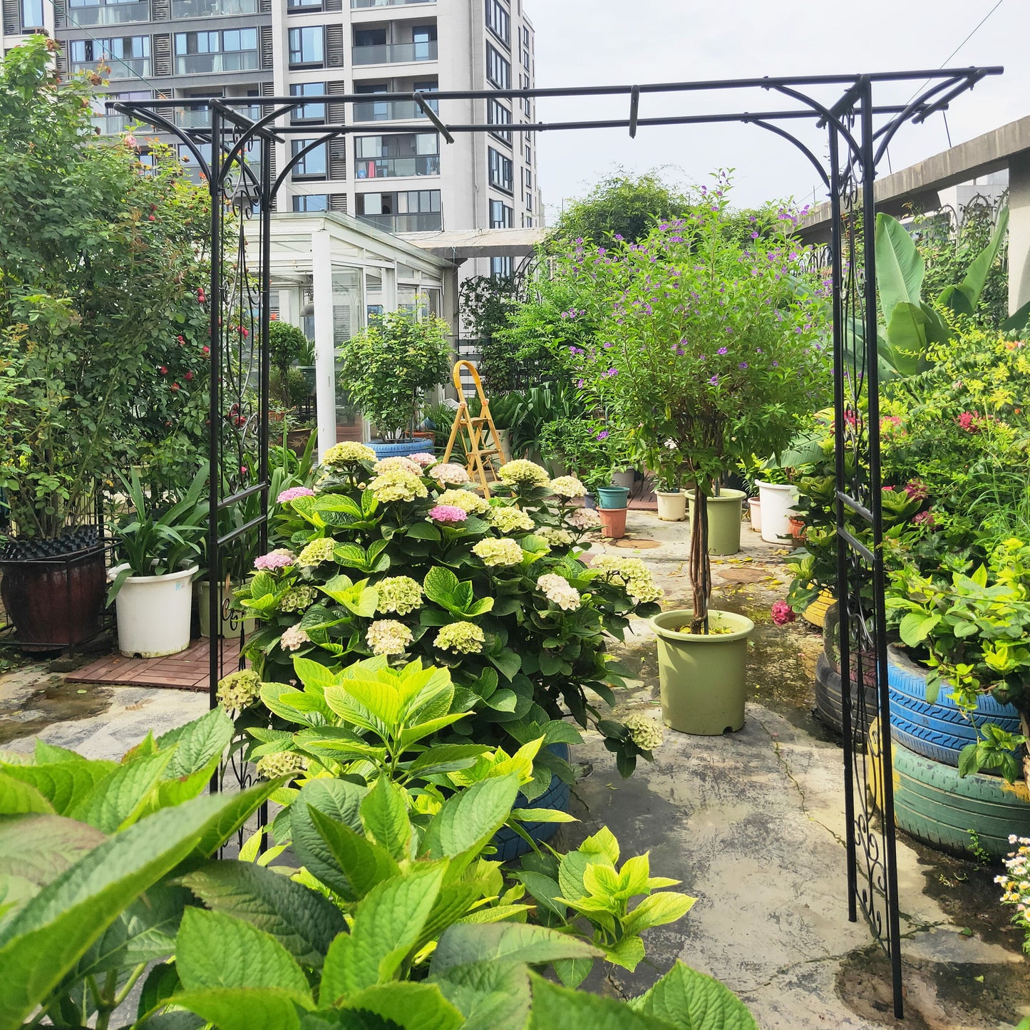 Metal Garden Arch Climbing Plants Support Rose Arch Outdoor - Black Daily Nest