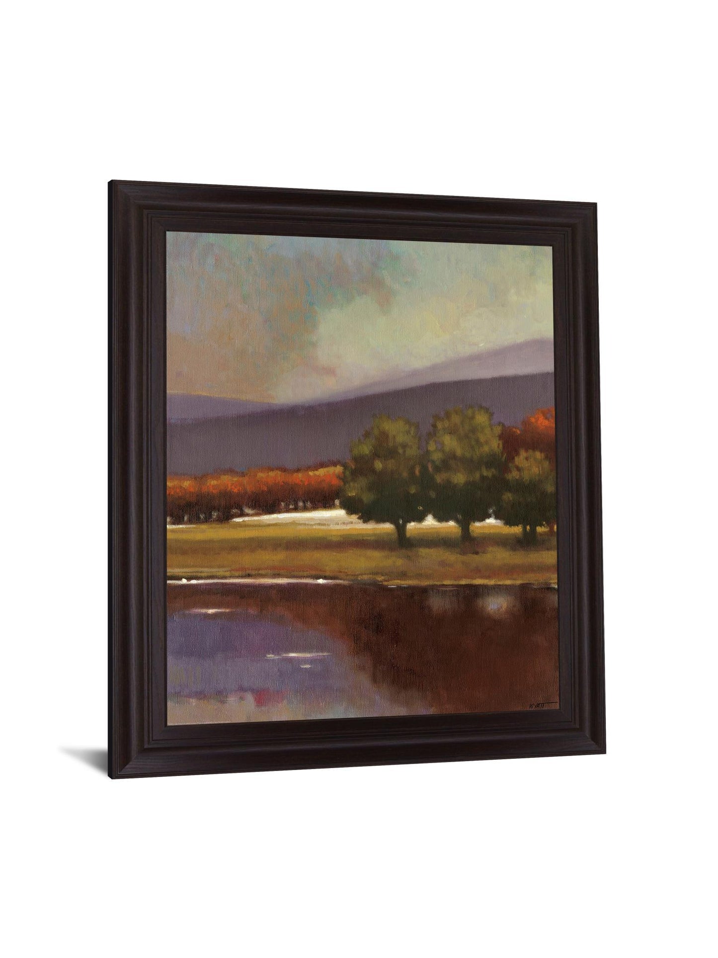 Woodland Reflections - 28" x 34" Framed Wall Art Classy Art