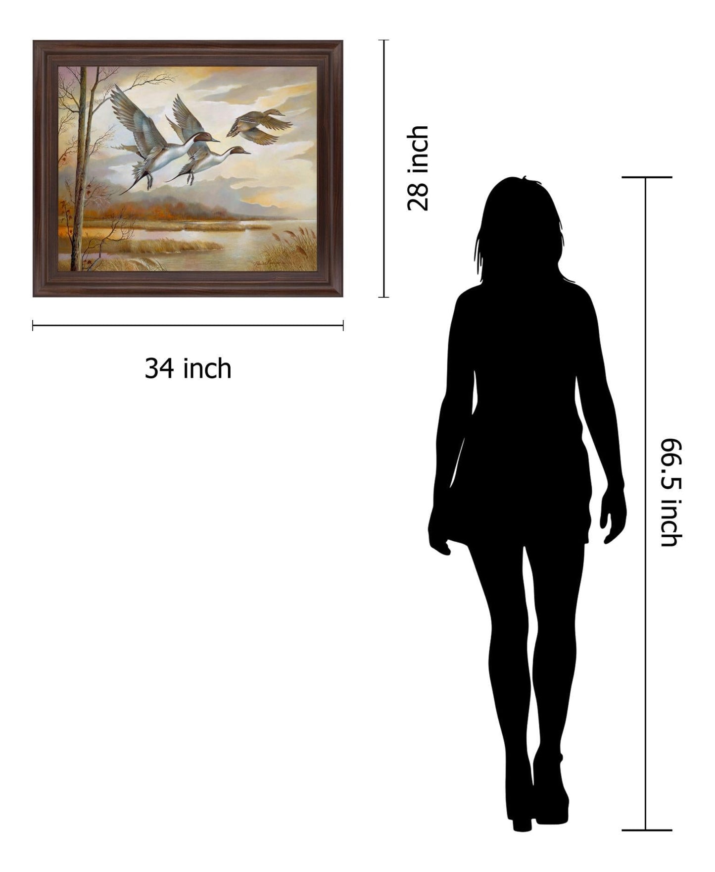 Soaring Pintails - 28" x 34" Framed Wall Art Classy Art