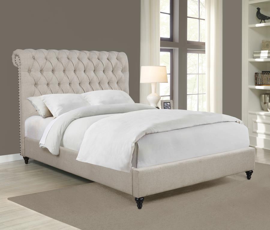 Devon - Upholstered Panel Bed CoasterEssence