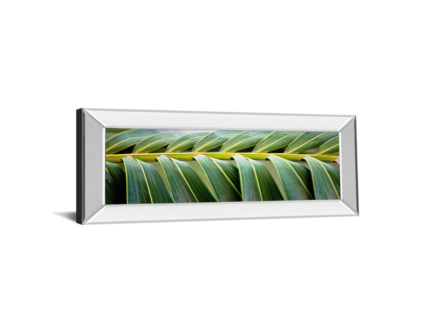Palma I By Susan Bryant - Mirror Framed Print Wall Art - Green - Snoozhouse