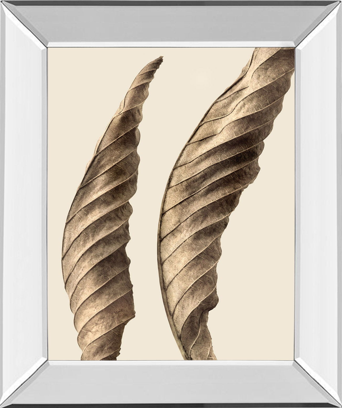 Turning Leaves I By Jeff Friesen - Mirror Framed Print Wall Art - Dark Brown - Snoozhouse
