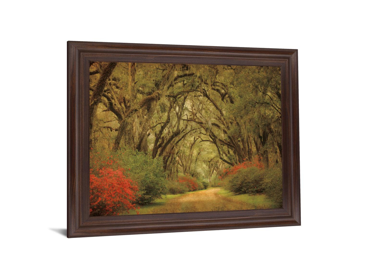 Mossy Woodland Trail - 28" x 34" Framed Wall Art Classy Art