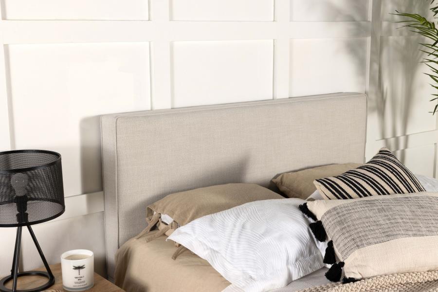 Kosmo - Upholstered Panel Headboard CoasterEveryday