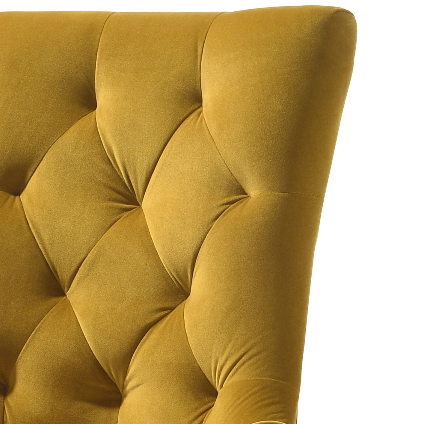 Farren - Velvet Side Chair (Set of 2) Acme