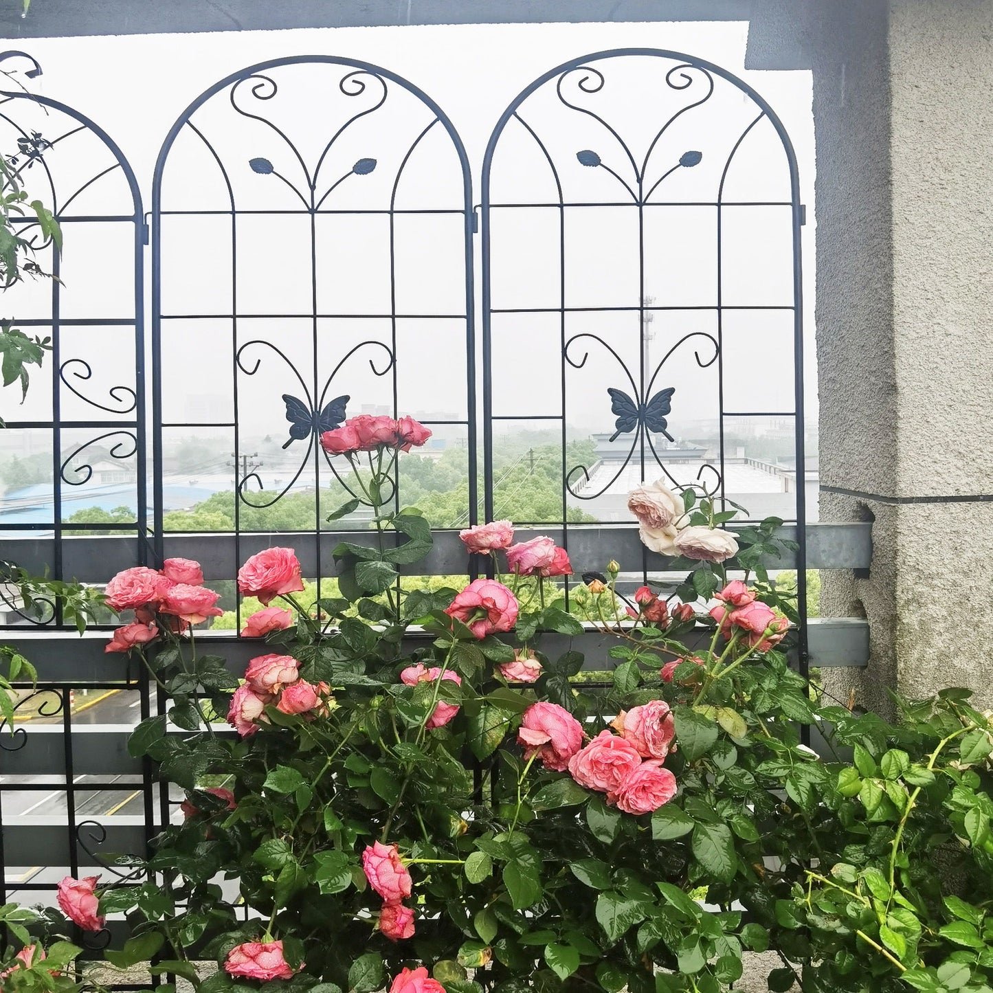 Garden Metal Trellis Rustproof Trellis For Climbing Plants Outdoor Flower Support Daily Nest