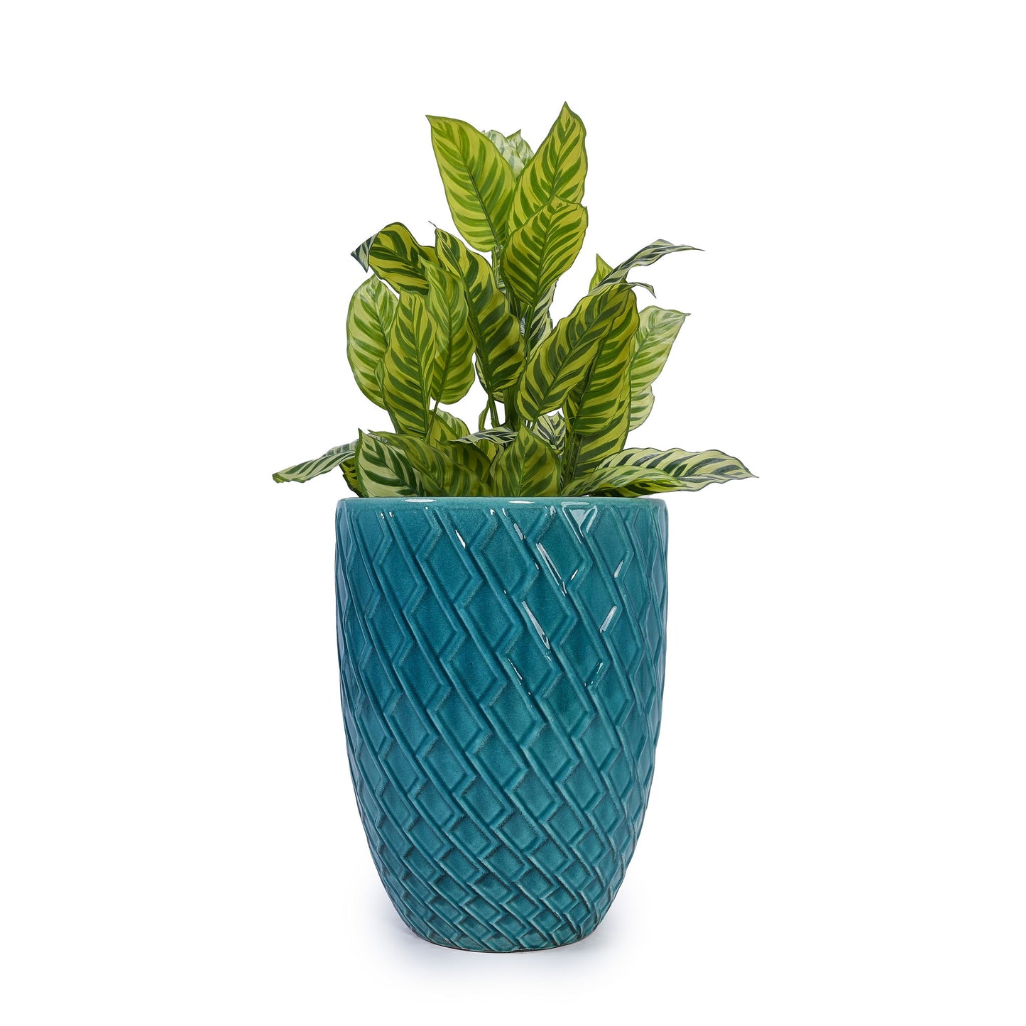 Ceramic Flowerpot, Planter For Patio, Garden, Windowsill Daily Nest